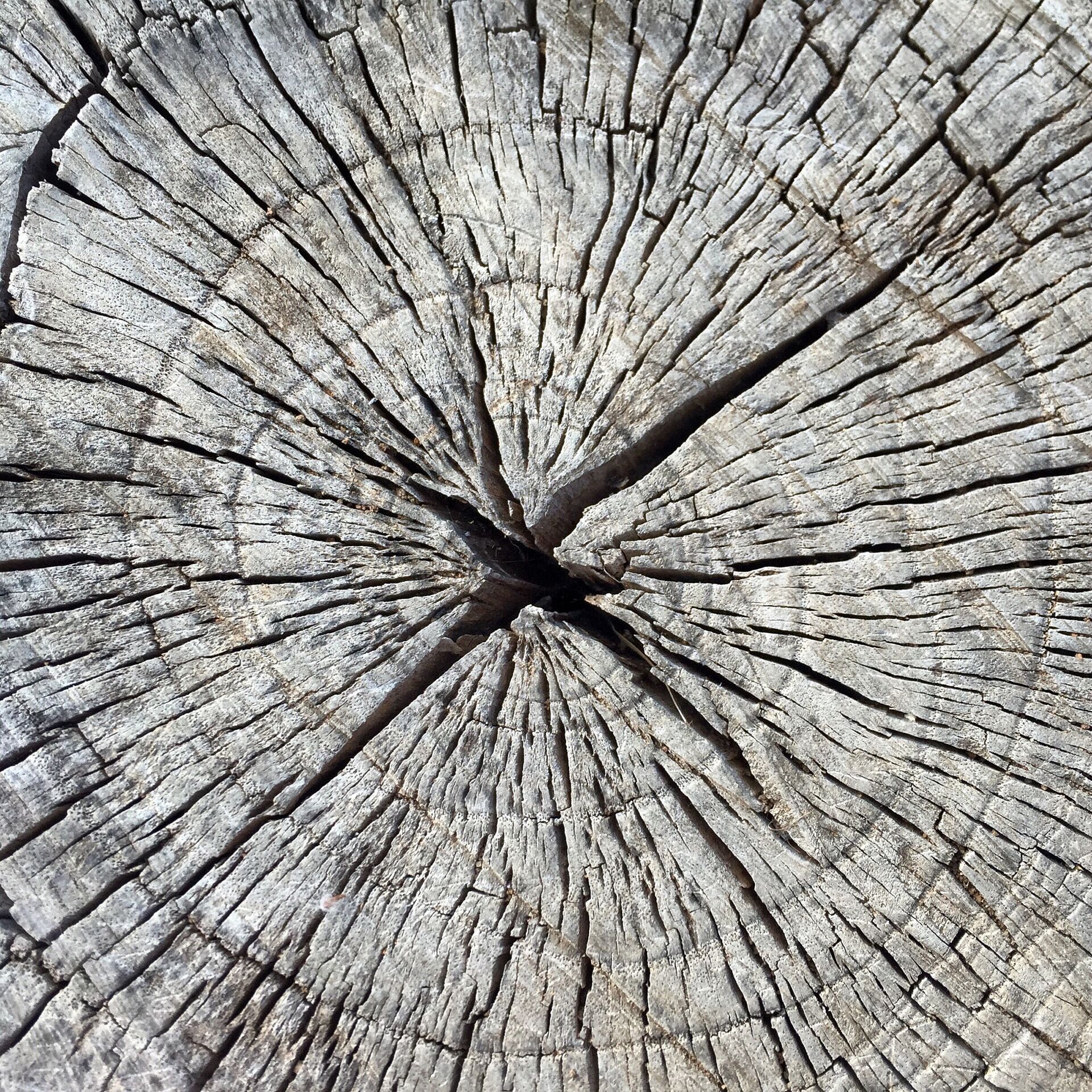 Holzschnitzerei Holz Struktur